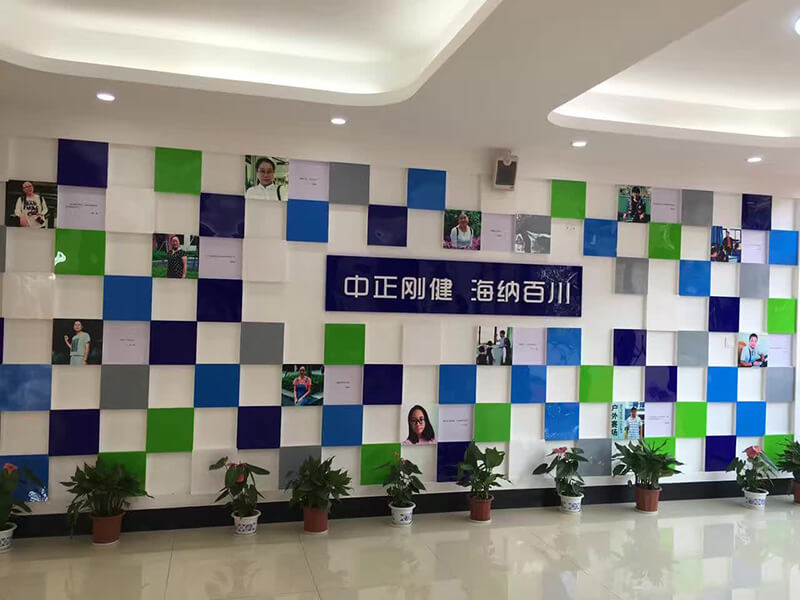 yl6809(й)޹˾